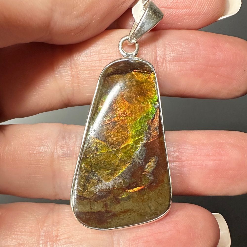NWT 35x20mm Ammolite fossil pendant in solid,‎ 925 sterling silver!